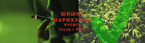 соль ск Ладушкин