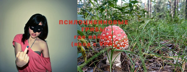 гашиш Лабытнанги