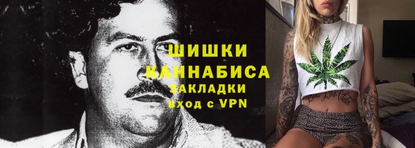 тгк Лагань
