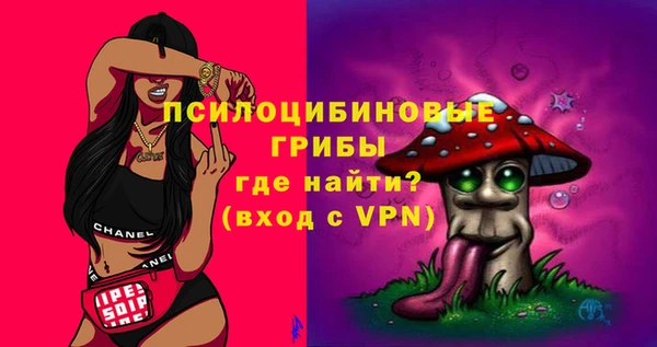 соль ск Ладушкин