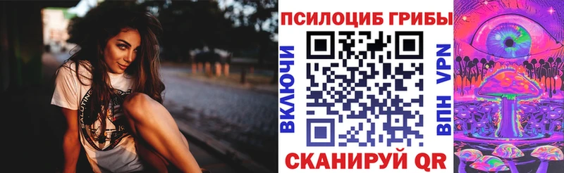 kraken вход где можно купить наркотик Людиново Галлюциногенные грибы Magic Shrooms