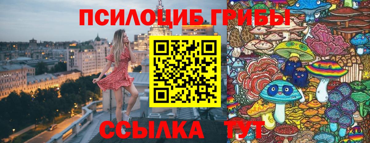 Людиново  Псилоцибиновые грибы GOLDEN TEACHER  Вход с VPN 